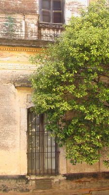 San Antonio de Areco